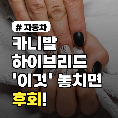 카니발 하이브리드 '이것' 놓치면 후회! 구매 전 필독 실연비 팁 4가지