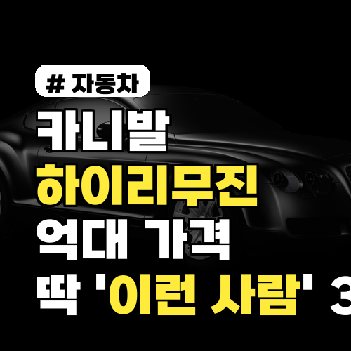 카니발 하이리무진, 억대 가격 다 줘도 아깝지 않을 딱 '이런 사람' 3가지