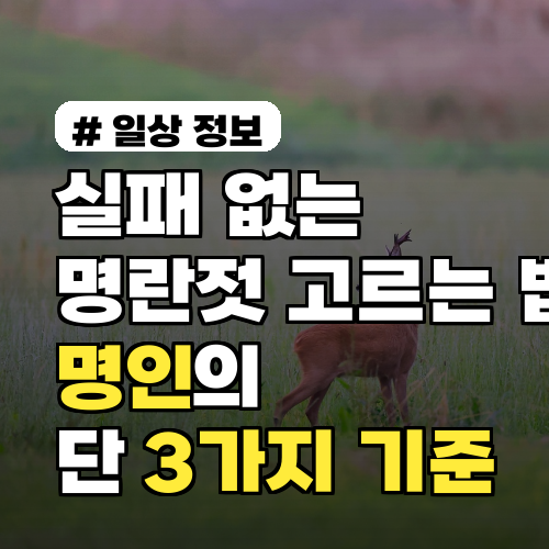 실패 없는 명란젓 고르는 법! 명인이 알려주는 단 3가지 기준