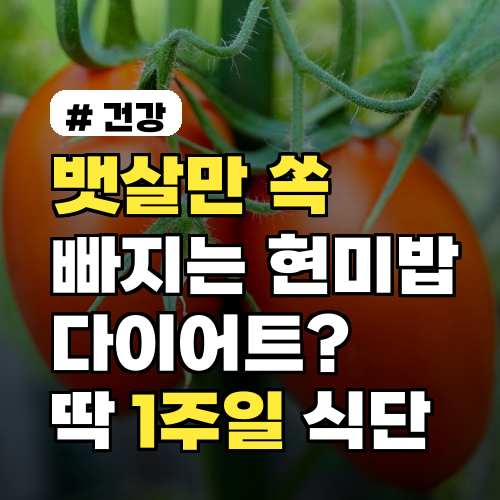 뱃살만 쏙 빠지는 현미밥 다이어트? 딱 1주일 식단 공개!