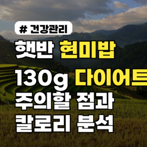 햇반 현미밥 130g, 다이어트 시 주의할 점과 칼로리 완벽 분석
