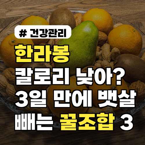 한라봉 칼로리 낮은데? 3일 만에 뱃살 빼는 꿀조합 3가지