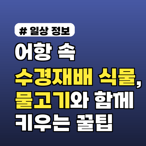 어항 속 수경재배 식물, 물고기와 함께 키우는 꿀팁