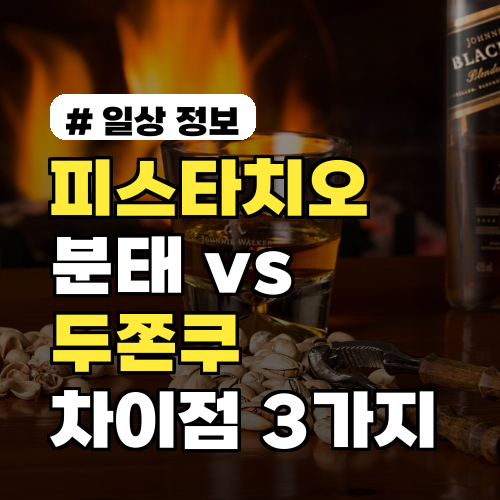 피스타치오분태와 두쫀쿠, 이거 몰랐다면 후회할 차이점 3가지