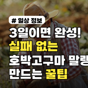 3일이면 완성! 실패 없는 호박고구마 말랭이 만드는 꿀팁