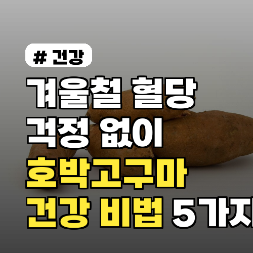 겨울철 혈당 걱정 없이 호박고구마 즐기는 건강 비법 5가지