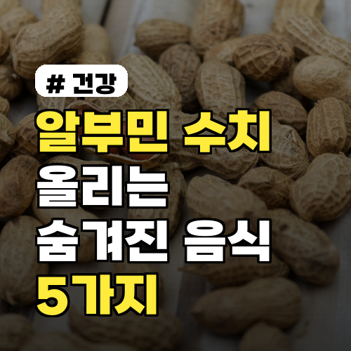 알부민 수치 올리는 숨겨진 음식 5가지 (병원 안 가고 해결)