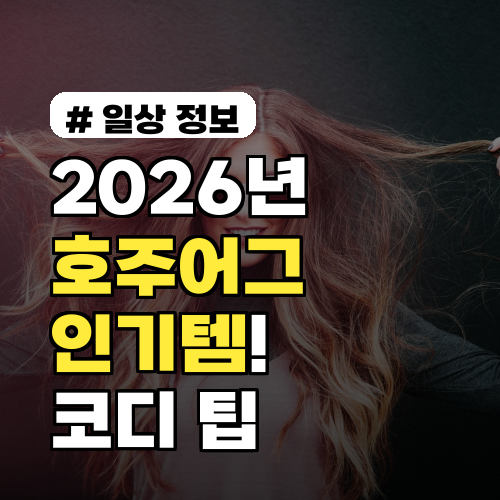 2026년 호주어그 인기템! 슬리퍼·부츠 TOP 5와 코디 팁