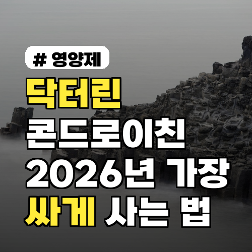 닥터린 콘드로이친, 6개월·12개월? 2026년 가장 싸게 사는 법