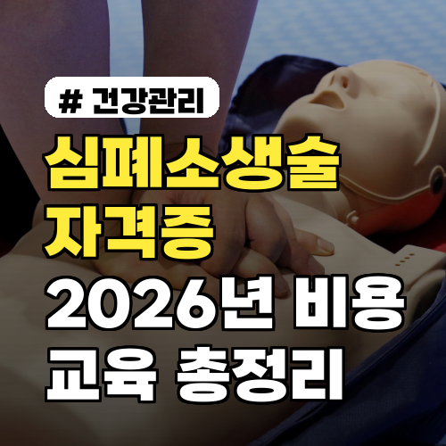 심폐소생술 자격증, 2026년 비용부터 교육까지 총정리