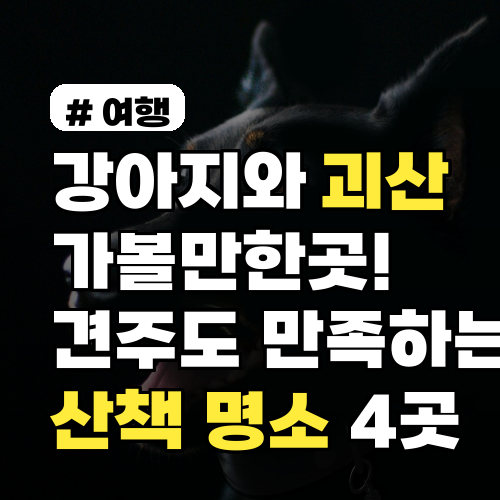 강아지와 괴산 가볼만한곳! 견주도 만족하는 산책 명소 4곳