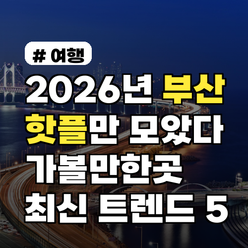 2026년 부산 핫플만 모았다! 가볼만한곳 최신 트렌드 5