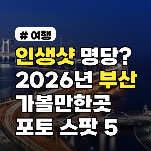 인생샷 명당? 2026년 부산 가볼만한곳 포토 스팟 5