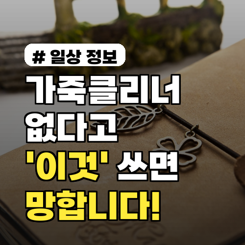 가죽클리너 없다고 '이것' 쓰면 망합니다! 오히려 독이 되는 행동 5가지