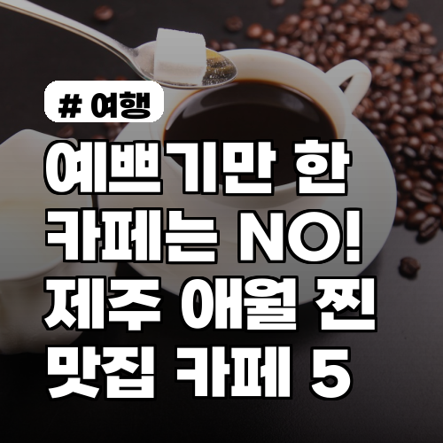 예쁘기만 한 카페는 NO! 제주 애월 현지인 추천 찐 맛집 카페 5