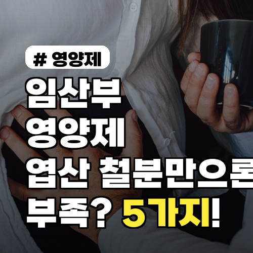 임산부 영양제, 엽산 철분만으론 부족? 2026년 꼭 필요한 5가지