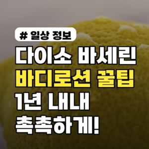 다이소 바세린 바디로션, 1년 내내 촉촉함 유지하는 꿀팁 3가지