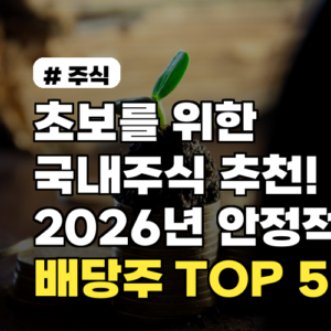 초보를 위한 국내주식 추천! 2026년 안정적인 배당주 TOP 5