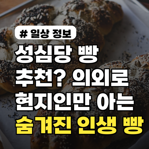 성심당 빵 추천? 의외로 현지인만 아는 숨겨진 인생 빵 BEST