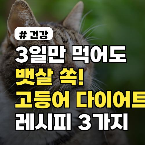 3일만 먹어도 뱃살 쏙! 고등어 활용 다이어트 레시피 3가지