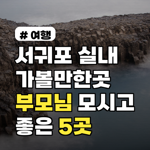 서귀포 실내 가볼만한곳, 부모님 모시고 가기 좋은 5곳