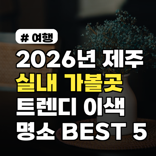 2026년 제주 실내 가볼만한곳, 트렌디한 이색 명소 BEST 5