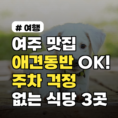 여주 맛집 애견동반 OK! 주차 걱정 없는 식당 3곳