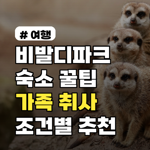 비발디파크 숙소, 후회 없는 선택 3가지! 가족 취사 조건별 추천