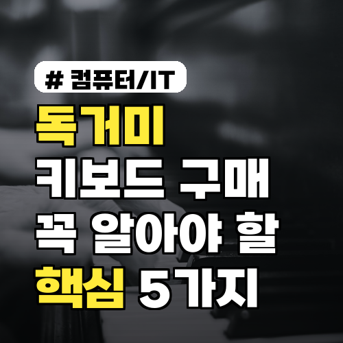 독거미 키보드 구매 전 꼭 알아야 할 핵심 5가지