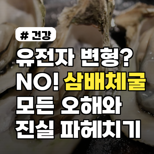 유전자 변형? NO! 삼배체굴에 대한 모든 오해와 진실을 파헤치다