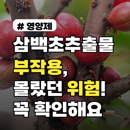 삼백초추출물 부작용, 당신이 몰랐던 위험! 섭취 전 꼭 확인하세요