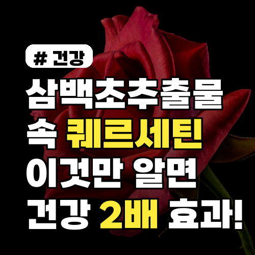 삼백초추출물 속 '퀘르세틴', 이것만 알면 건강 효과 2배!