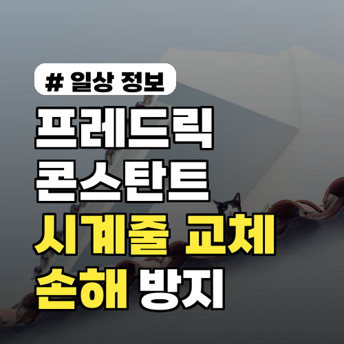 프레드릭 콘스탄트 시계줄, 교체 주기 놓치면 손해 보는 이유