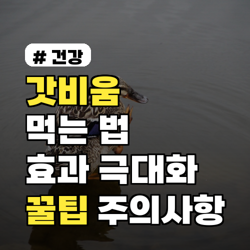 갓비움 먹는법, 효과 극대화 꿀팁 3가지와 주의사항