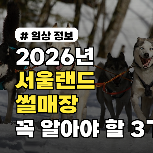 2026년 서울랜드 썰매장, 폐장 전 꼭 알아야 할 3가지!