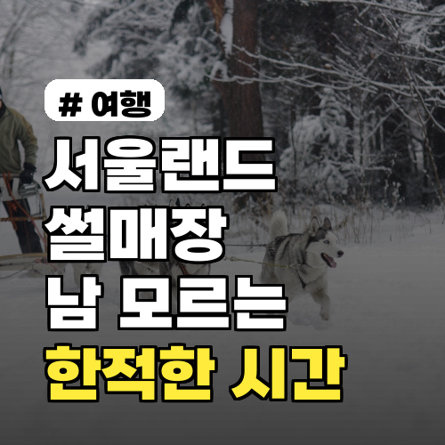 서울랜드 썰매장, 남들은 모르는 '한적한 시간' 완벽 공략법