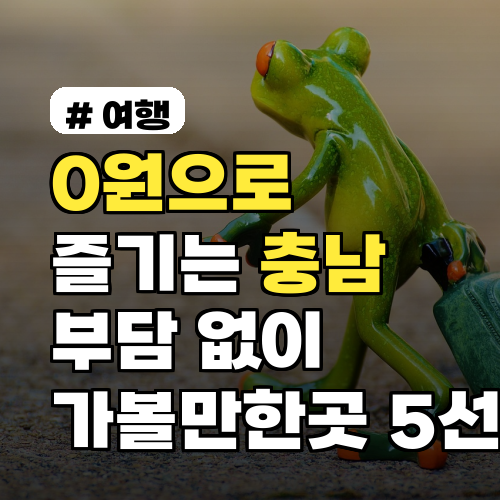 0원으로 즐기는 충남! 부담 없이 떠나는 가볼만한곳 5선
