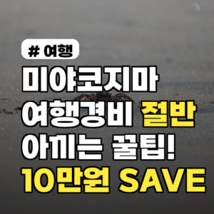 미야코지마 여행경비 절반 아끼는 꿀팁, 이것만 알아도 10만원 SAVE
