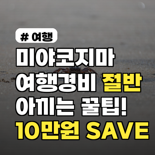 미야코지마 여행경비 절반 아끼는 꿀팁, 이것만 알아도 10만원 SAVE