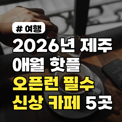 2026년 제주 애월 핫플레이스! 오픈런 필수 신상 카페 5곳