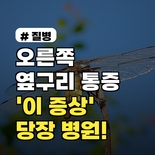 오른쪽 옆구리 통증? '이 증상' 나타나면 당장 병원 가세요!