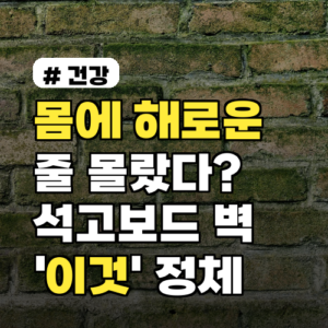 몸에 해로운 줄 몰랐다? 석고보드 벽에 생기는 ‘이것’ 정체