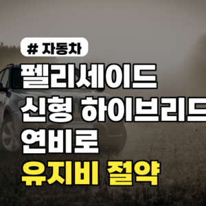 펠리세이드 신형 하이브리드 연비, 월 유지비 이만큼 절약된다