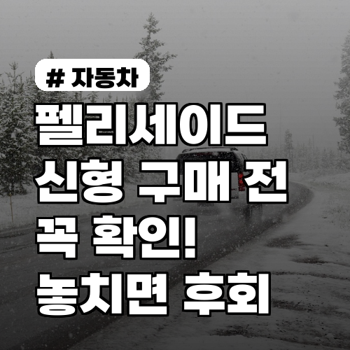 펠리세이드 신형 구매 전 꼭 확인! 놓치면 후회할 3가지