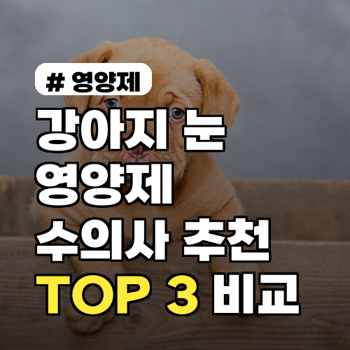 강아지 눈 영양제, 수의사가 추천하는 내돈내산 TOP 3 비교