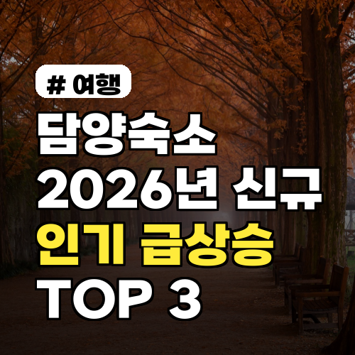 담양숙소 2026년 새로 오픈한 인기 급상승 숙소 TOP 3