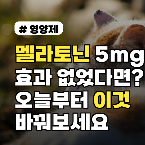 멜라토닌 5mg 효과 없었다면? 오늘부터 이것 바꿔보세요