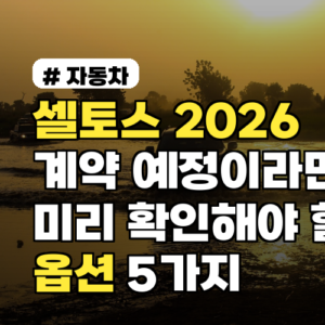셀토스 2026 계약 예정이라면, 미리 확인해야 할 옵션 5가지