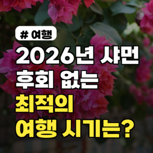 2026년 샤먼 여행, 지금 떠난다면 후회 없는 최적의 시기는?