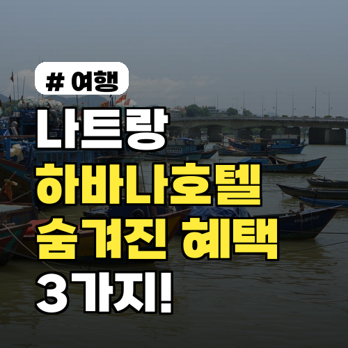 나트랑 하바나호텔, 아무도 안 알려주는 숨겨진 혜택 3가지